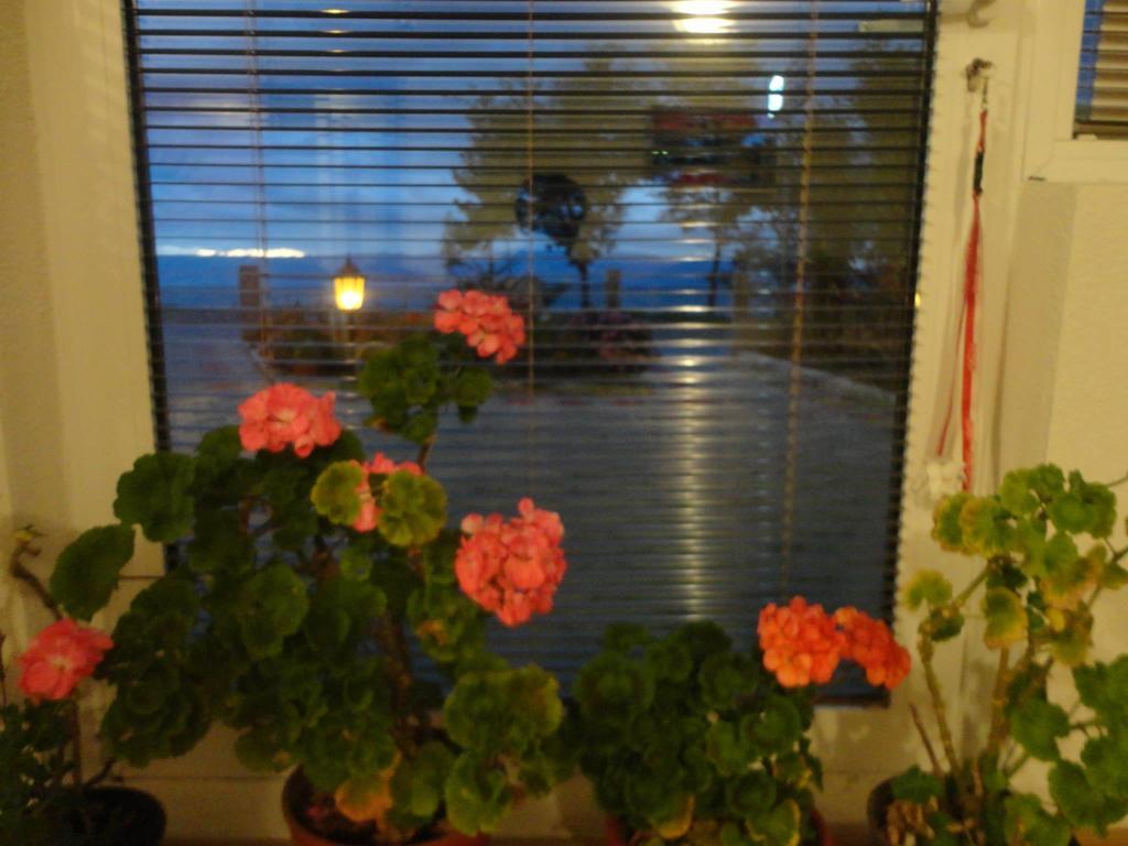 Apartmani Bakule Pestani Kültér fotó